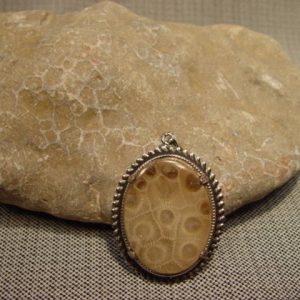 Rough, Petoskey Stone, fossil