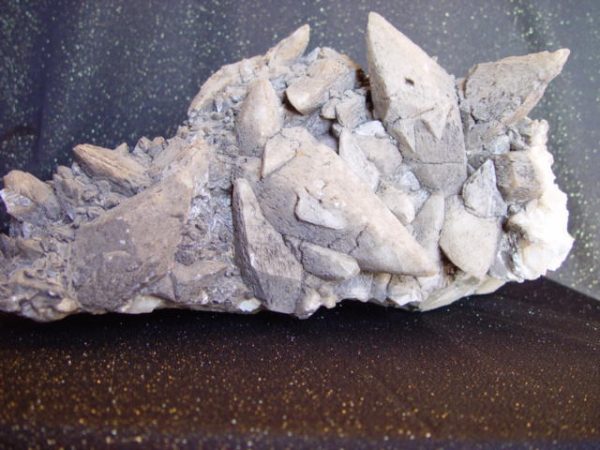 Dogtooth calcite, 19