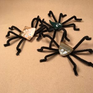 Rock bugs and spiders