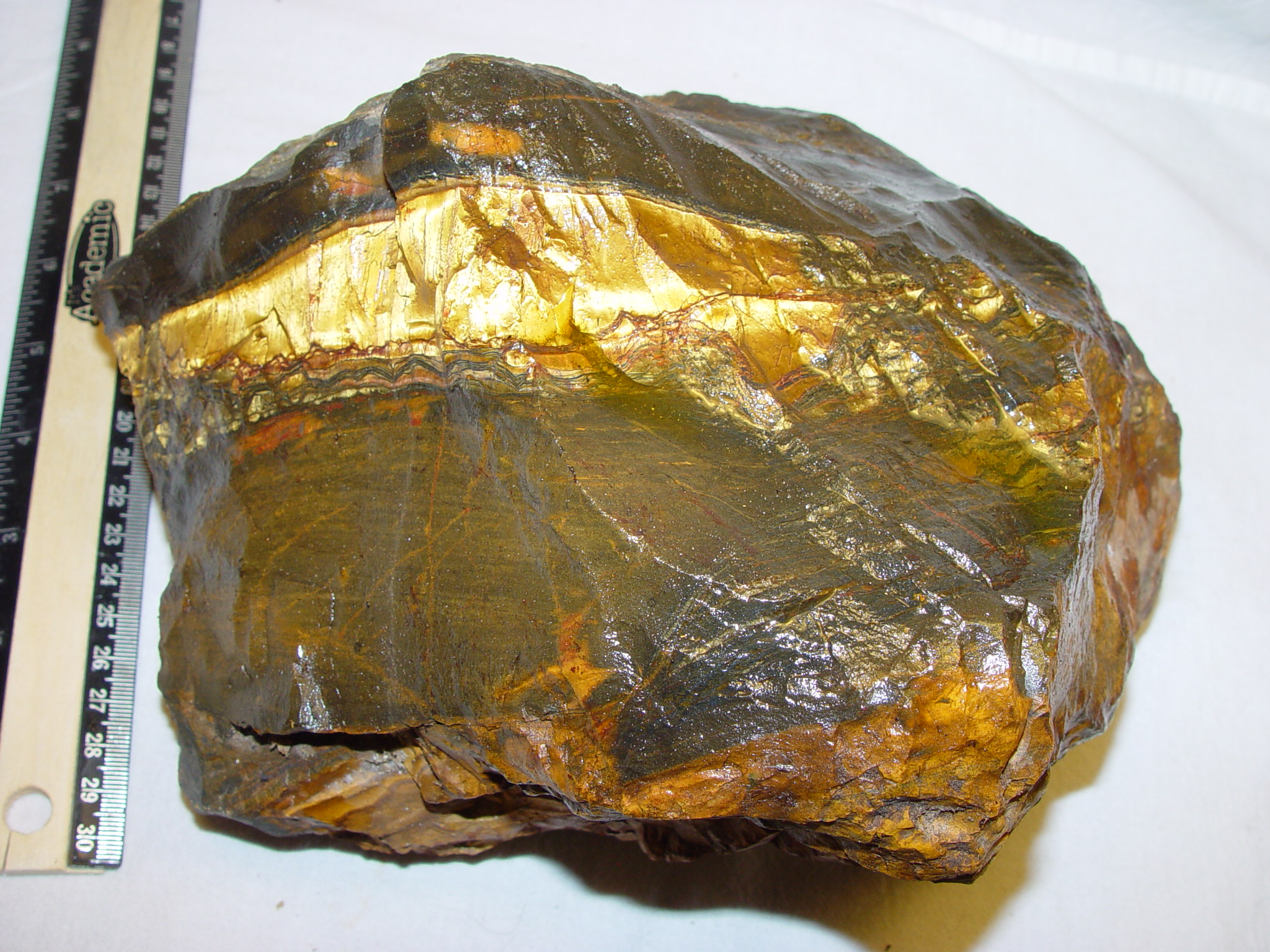 tiger iron